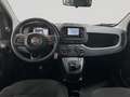 Fiat Panda 1.0 ADAS ICON Hybrid PROMO CAR SERENITY Bianco - thumbnail 11
