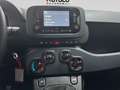 Fiat Panda 1.0 ADAS ICON Hybrid PROMO CAR SERENITY Bianco - thumbnail 12