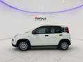 Fiat Panda 1.0 ADAS ICON Hybrid PROMO CAR SERENITY Bianco - thumbnail 4
