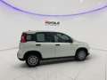 Fiat Panda 1.0 ADAS ICON Hybrid PROMO CAR SERENITY Bianco - thumbnail 8