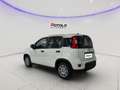Fiat Panda 1.0 ADAS ICON Hybrid PROMO CAR SERENITY Bianco - thumbnail 7