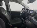 Fiat Panda 1.0 ADAS ICON Hybrid PROMO CAR SERENITY Bianco - thumbnail 10