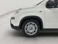 Fiat Panda 1.0 ADAS ICON Hybrid PROMO CAR SERENITY Bianco - thumbnail 9