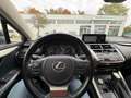 Lexus NX 300h NX 300h E-FOUR Executive Line Grün - thumbnail 15