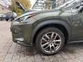 Lexus NX 300h NX 300h E-FOUR Executive Line Grün - thumbnail 4