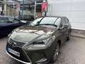 Lexus NX 300h NX 300h E-FOUR Executive Line Grün - thumbnail 5