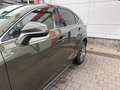 Lexus NX 300h NX 300h E-FOUR Executive Line Grün - thumbnail 6