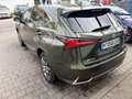 Lexus NX 300h NX 300h E-FOUR Executive Line Grün - thumbnail 12
