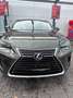 Lexus NX 300h NX 300h E-FOUR Executive Line Grün - thumbnail 3