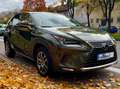 Lexus NX 300h NX 300h E-FOUR Executive Line Grün - thumbnail 1