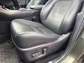 Lexus NX 300h NX 300h E-FOUR Executive Line Grün - thumbnail 23