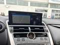 Lexus NX 300h NX 300h E-FOUR Executive Line Grün - thumbnail 18