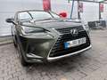 Lexus NX 300h NX 300h E-FOUR Executive Line Grün - thumbnail 10