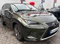 Lexus NX 300h NX 300h E-FOUR Executive Line Grün - thumbnail 13