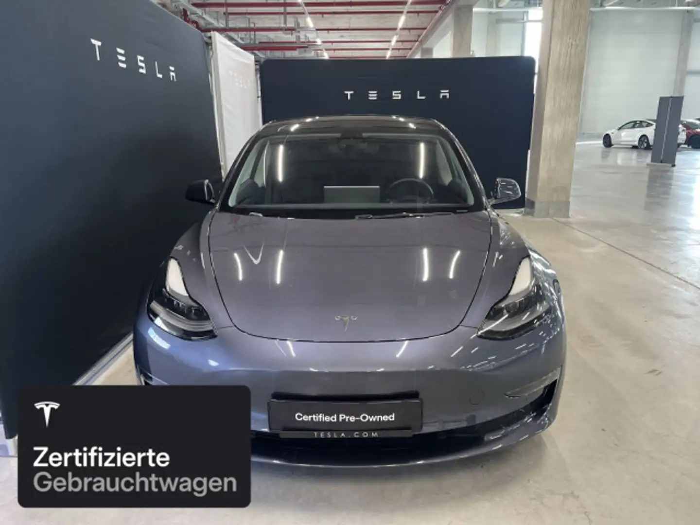 Tesla Model 3 Performance Silber - 2