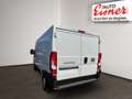 Fiat Ducato KW L2H1 30 120 MT Weiß - thumbnail 9
