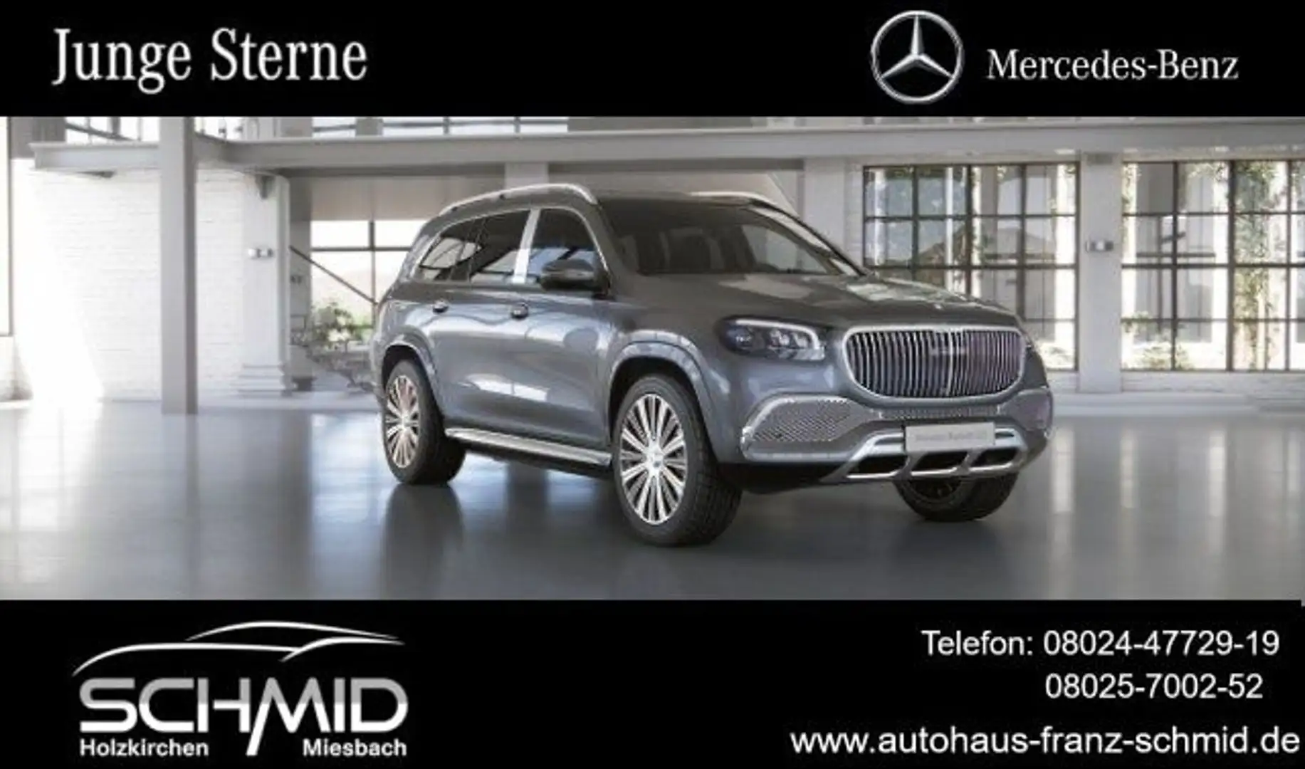 Mercedes-Benz GLS 600 Maybach First Class Fond Pano Standhzg 2 Серый - 1