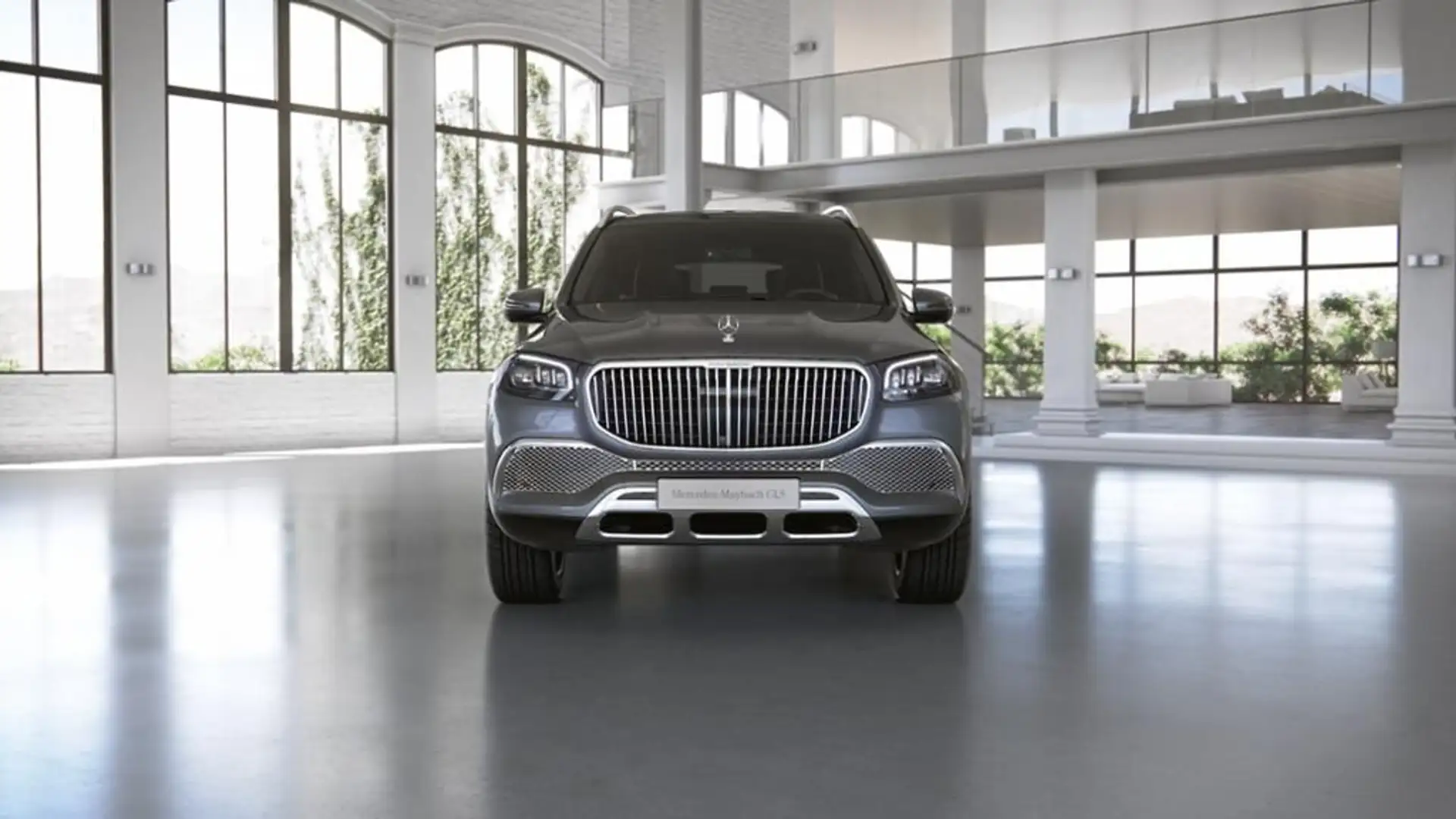 Mercedes-Benz GLS 600 Maybach First Class Fond Pano Standhzg 2 Серый - 2