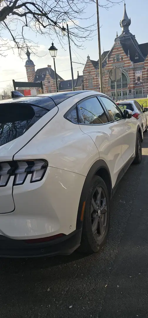 Ford Mustang Mach-E Blanco - 2