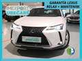 Lexus UX 250h Business Navigation 4WD Weiß - thumbnail 1