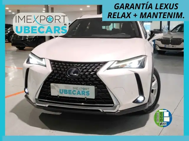 Lexus UX 250h Business Navigation 4WD
