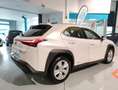 Lexus UX 250h Business Navigation 4WD Weiß - thumbnail 3