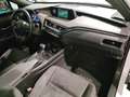 Lexus UX 250h Business Navigation 4WD Weiß - thumbnail 28