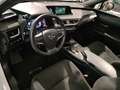 Lexus UX 250h Business Navigation 4WD Weiß - thumbnail 22
