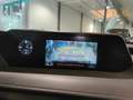 Lexus UX 250h Business Navigation 4WD Weiß - thumbnail 15