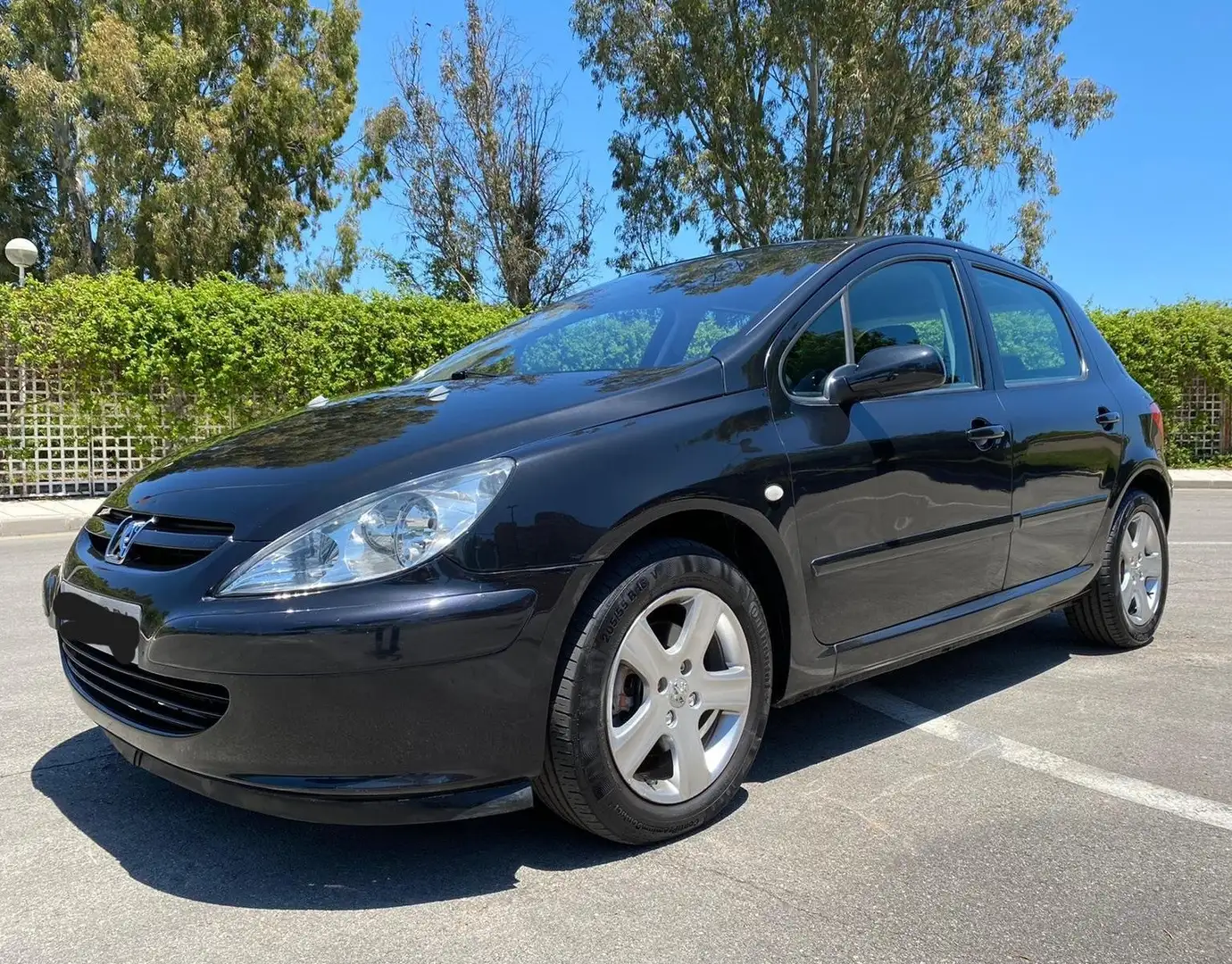 Peugeot 307 307 SW 2.0HDI 110 Negro - 1