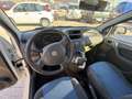Fiat Panda Panda 1.2 VAN AUTOCARRO GPL Bianco - thumbnail 7