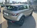 Land Rover Range Rover Evoque Range Rover Evoque 5p 2.2 sd4 Dynamic 190cv - thumbnail 2