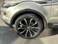 Land Rover Range Rover Evoque Range Rover Evoque 5p 2.2 sd4 Dynamic 190cv - thumbnail 6