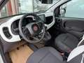 Fiat Sonstige Pandina FireFly Hybrid 65 Cross Weiß - thumbnail 8