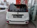 Fiat Sonstige Pandina FireFly Hybrid 65 Cross Weiß - thumbnail 4