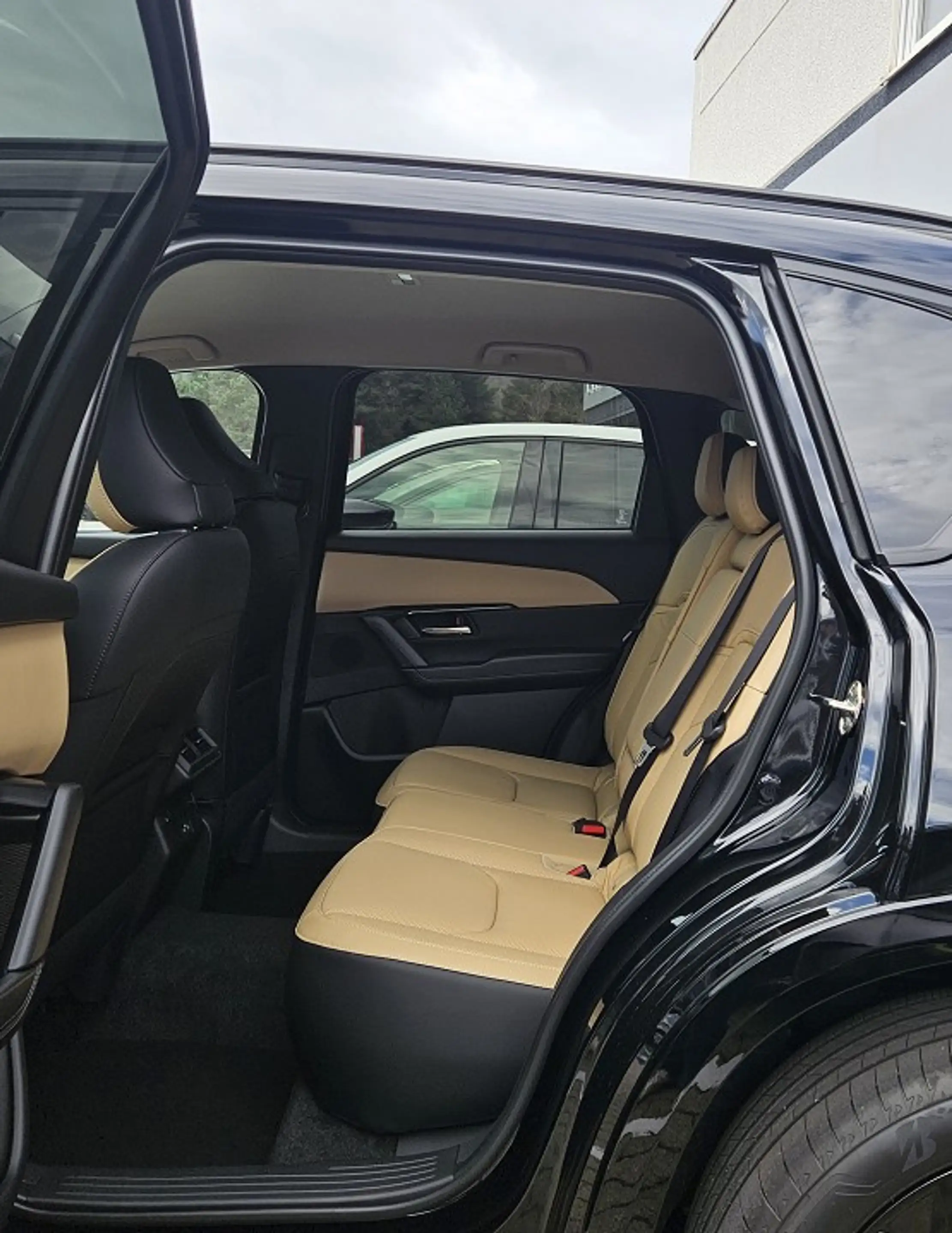 Mazda CX-5 2.5 e-SKYACTIV G 141 6AT FWD Homura TLOP — photo 11