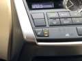 Lexus NX 300h AWD Luxury Line | Trekhaak, Navigatie, Leer, Stoel Gris - thumbnail 37