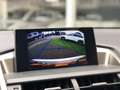 Lexus NX 300h AWD Luxury Line | Trekhaak, Navigatie, Leer, Stoel Gris - thumbnail 20