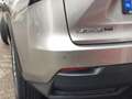 Lexus NX 300h AWD Luxury Line | Trekhaak, Navigatie, Leer, Stoel Gris - thumbnail 5