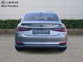 Lexus ES 300 Privilege Line+360°cam+nav+sen Or - thumbnail 6