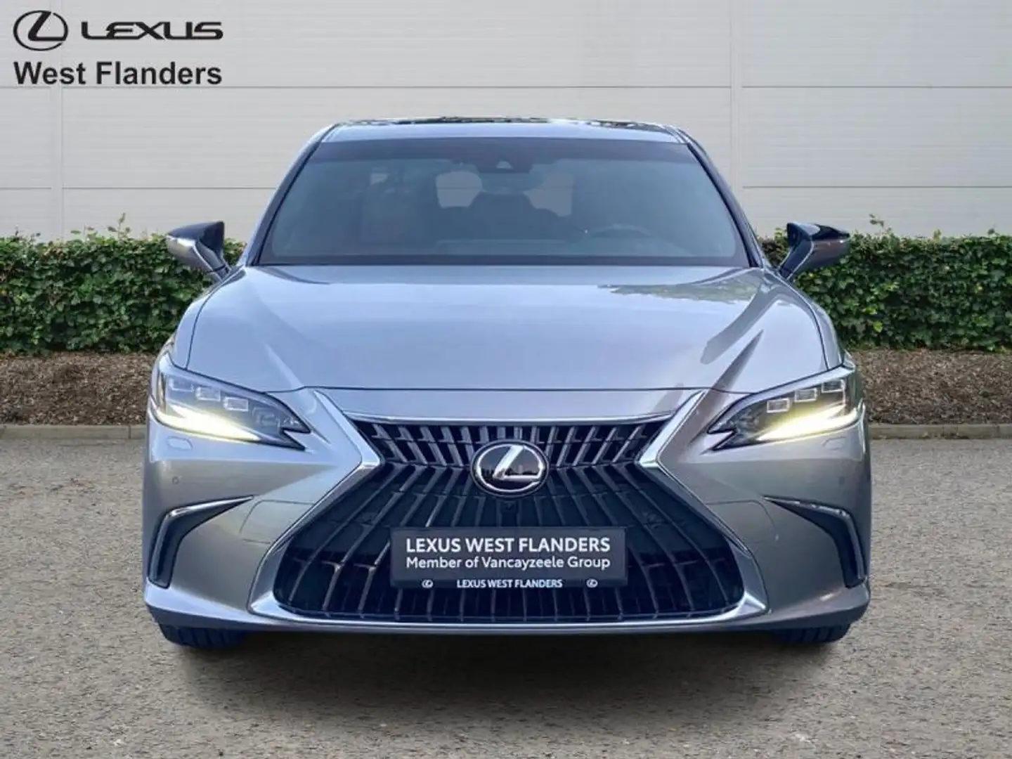 Lexus ES 300 Privilege Line+360°cam+nav+sen Or - 2
