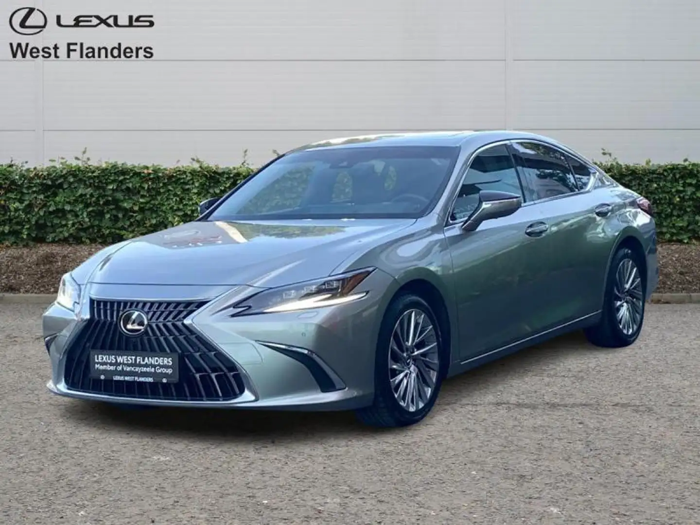 Lexus ES 300 Privilege Line+360°cam+nav+sen Or - 1