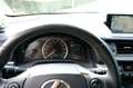 Lexus CT 200h Business Line Aut. Navi|Alcantara|LMV|Cam Gris - thumbnail 13