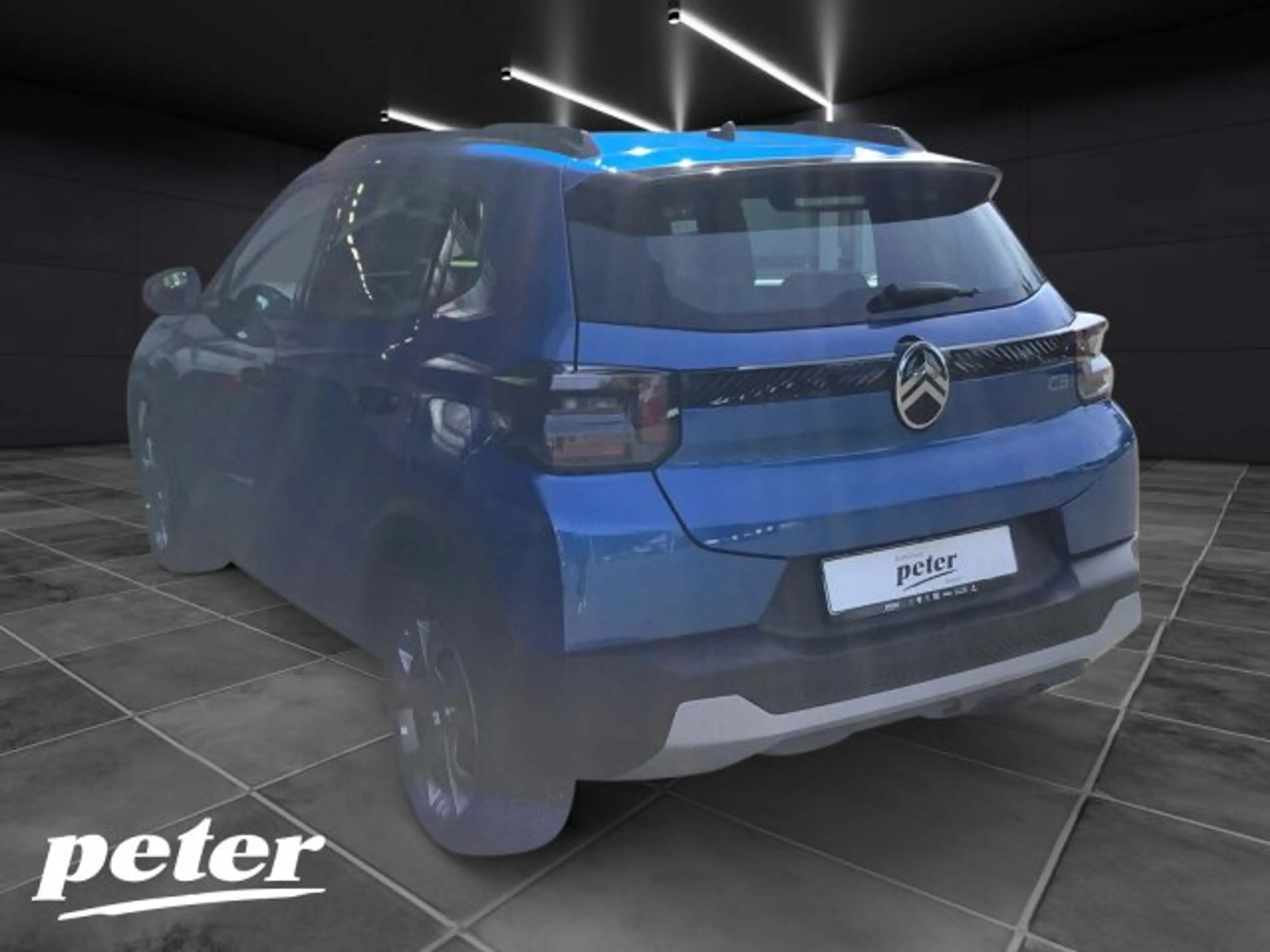 Citroen E-C3 ë-C3 Plus 113 Urban-Range +11-kW-OBC+Allwetter+ — photo 3