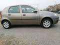 Fiat Punto Punto 5p 1.2 Dynamic Bronze - thumbnail 10