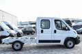 Fiat Ducato Cabina doppia con Cassone Bianco - thumbnail 4