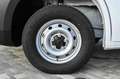 Fiat Ducato Cabina doppia con Cassone Bianco - thumbnail 7