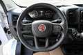 Fiat Ducato Cabina doppia con Cassone Bianco - thumbnail 13