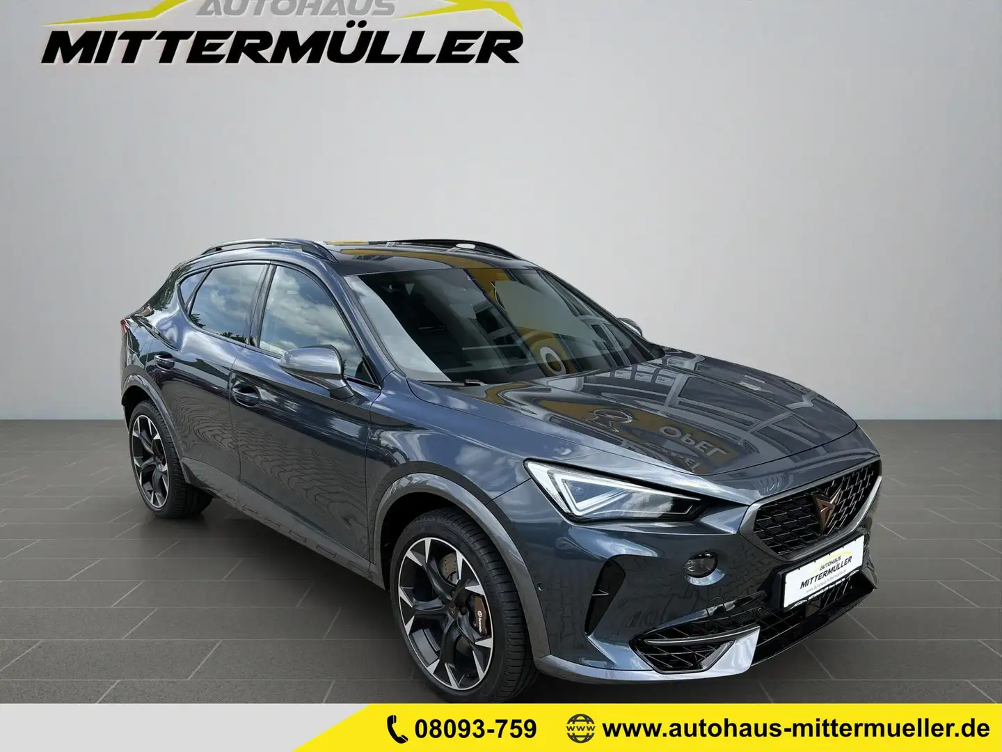 CUPRA Formentor VZ 2.0 4Drive Leder Panoram AHK Brembo Grau - 1