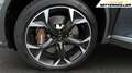 CUPRA Formentor VZ 2.0 4Drive Leder Panoram AHK Brembo Grau - thumbnail 7